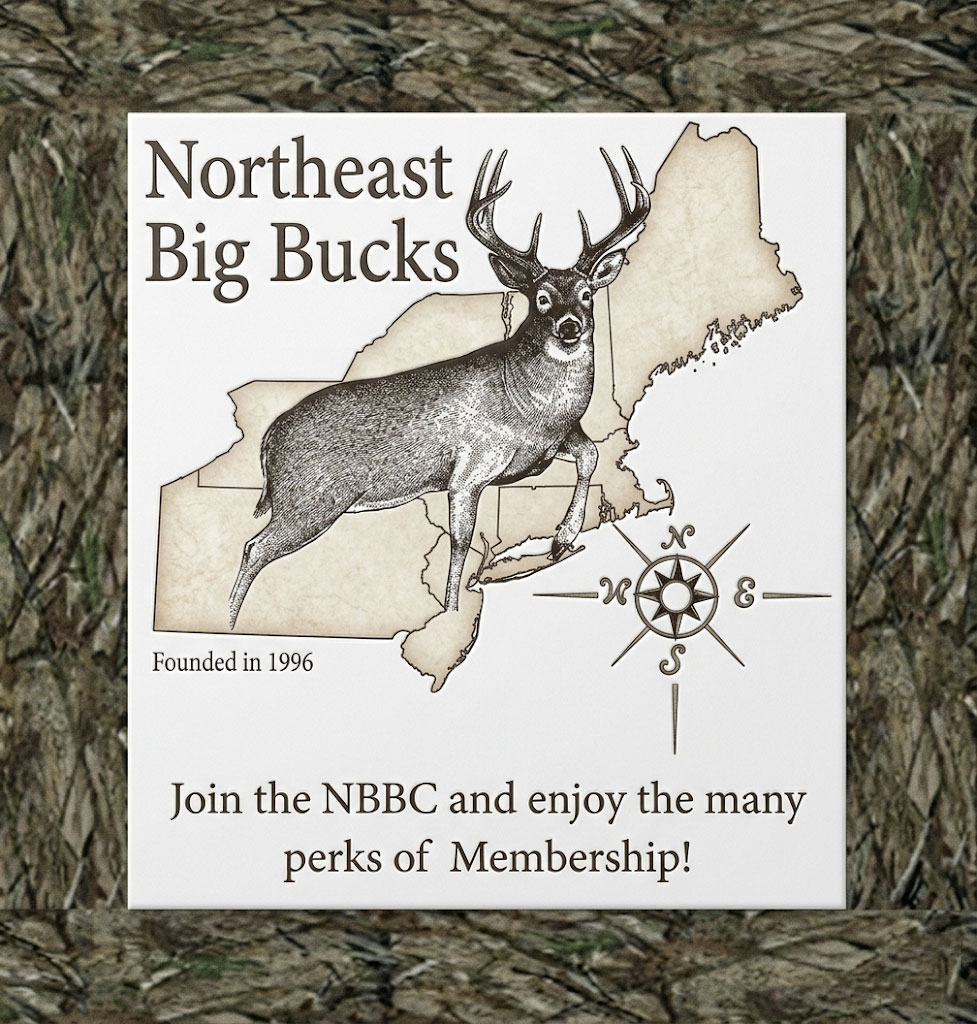 Northeast Big Bucks